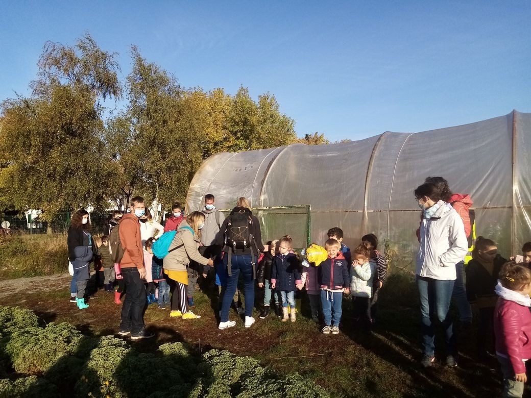 Img 20211012 101138 resized 20211025 015412632