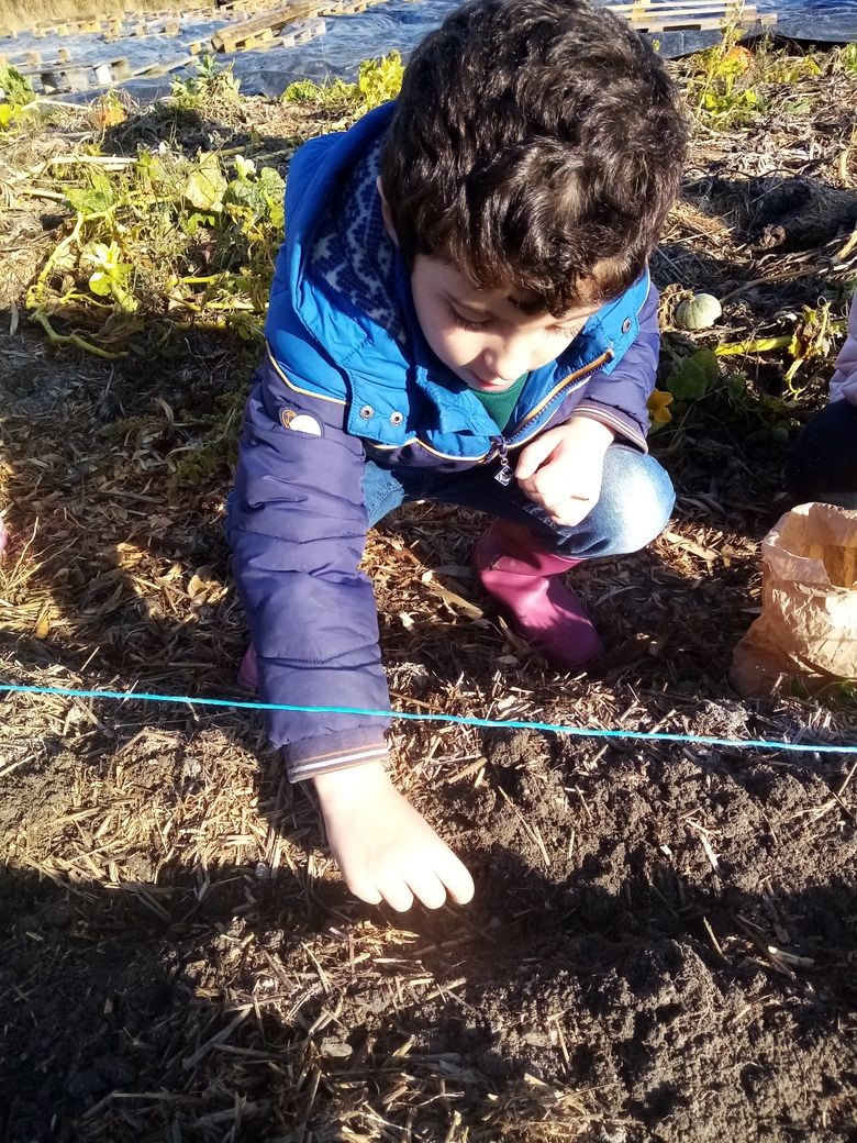 Img 20211012 103259 resized 20211025 015331583