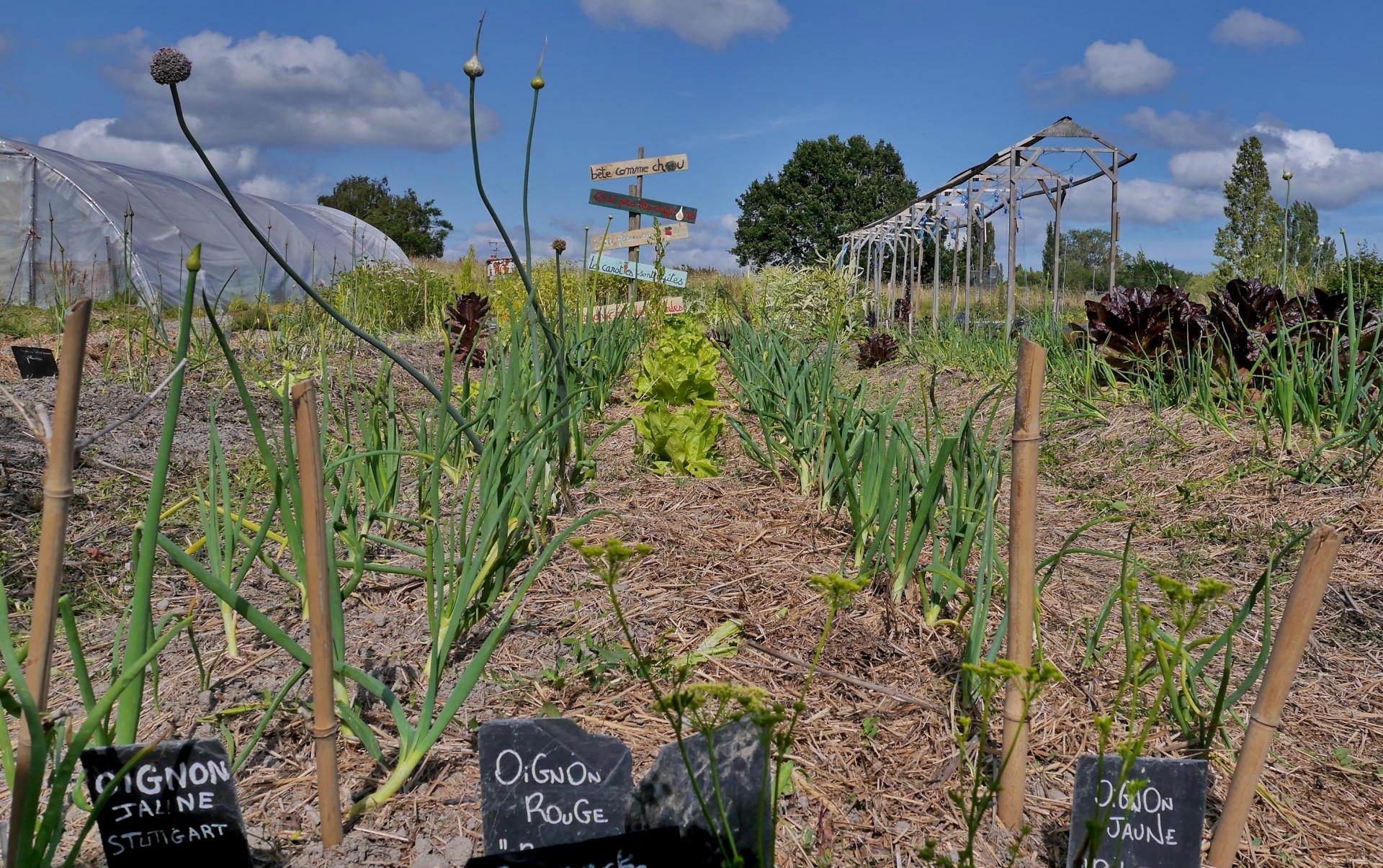 partage vert 2019094.JPGmod