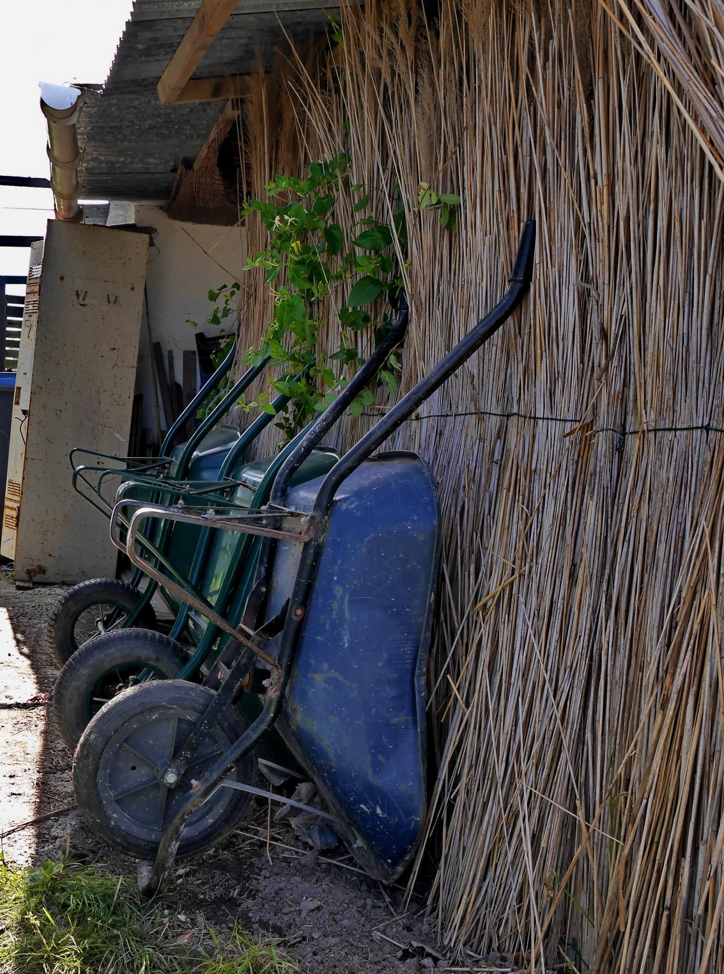 partage vert 2019095.JPGmod