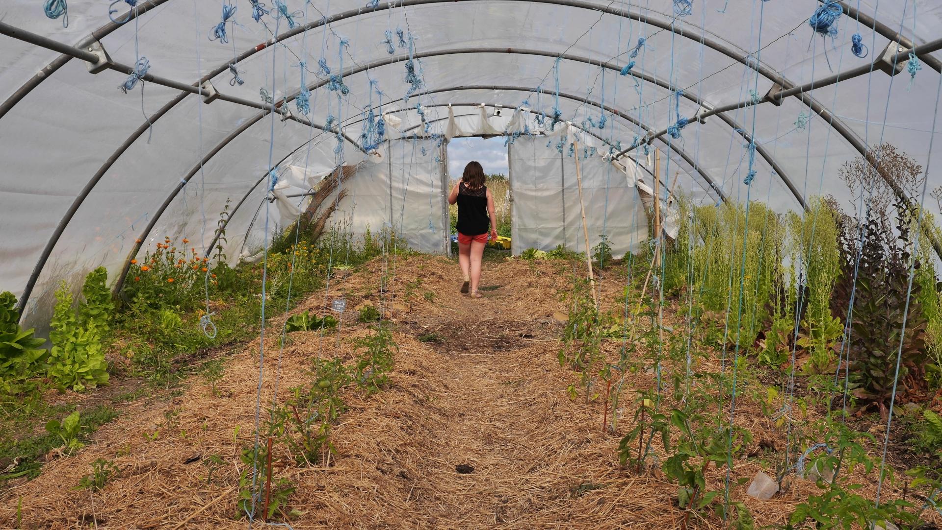 partage vert 2019099.JPGmod