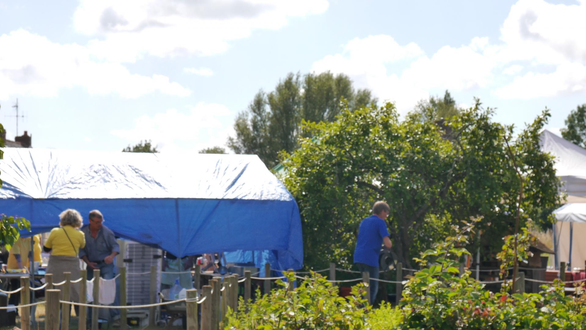 partage vert 2019105