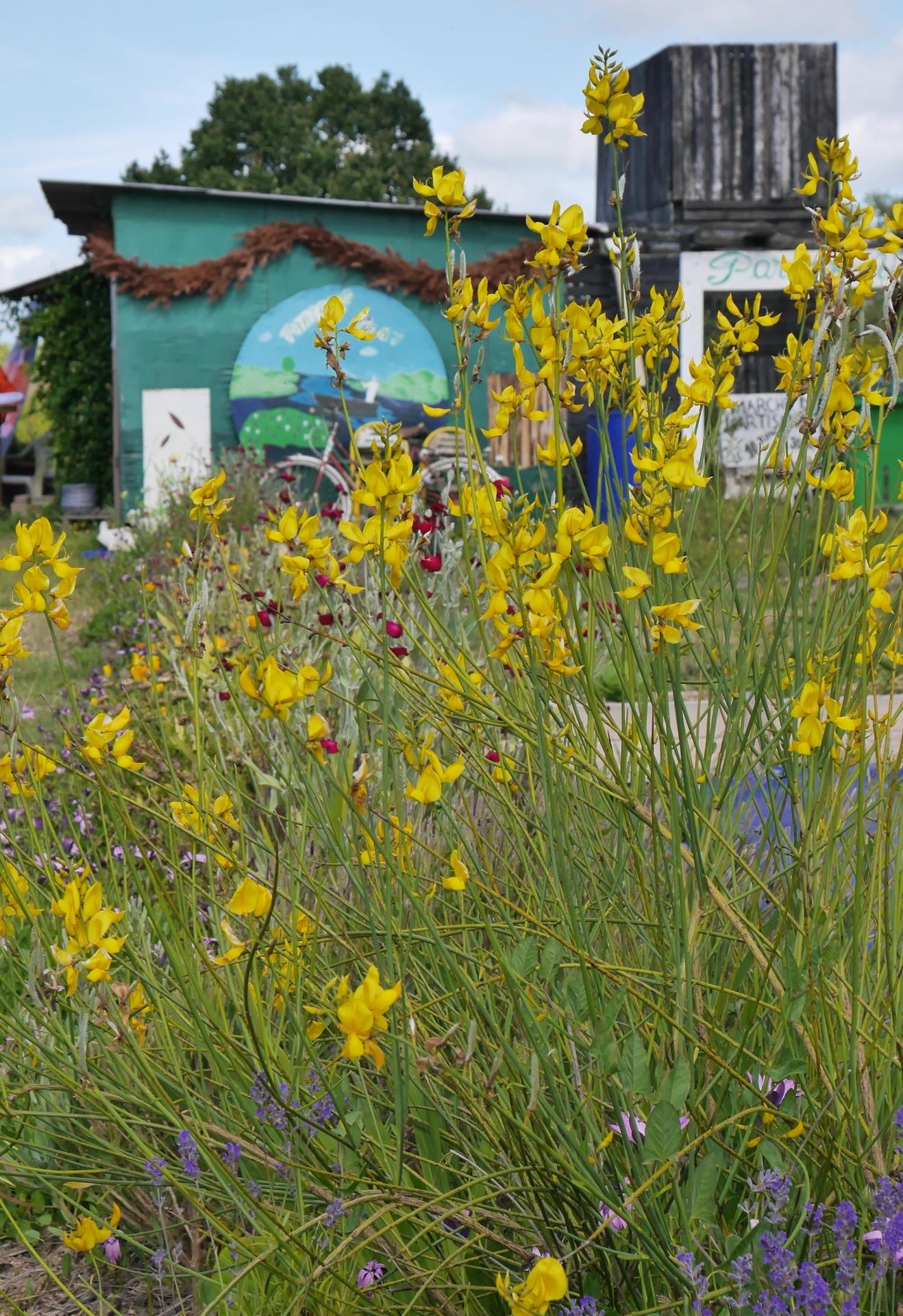 partage vert 2019107.JPGmod