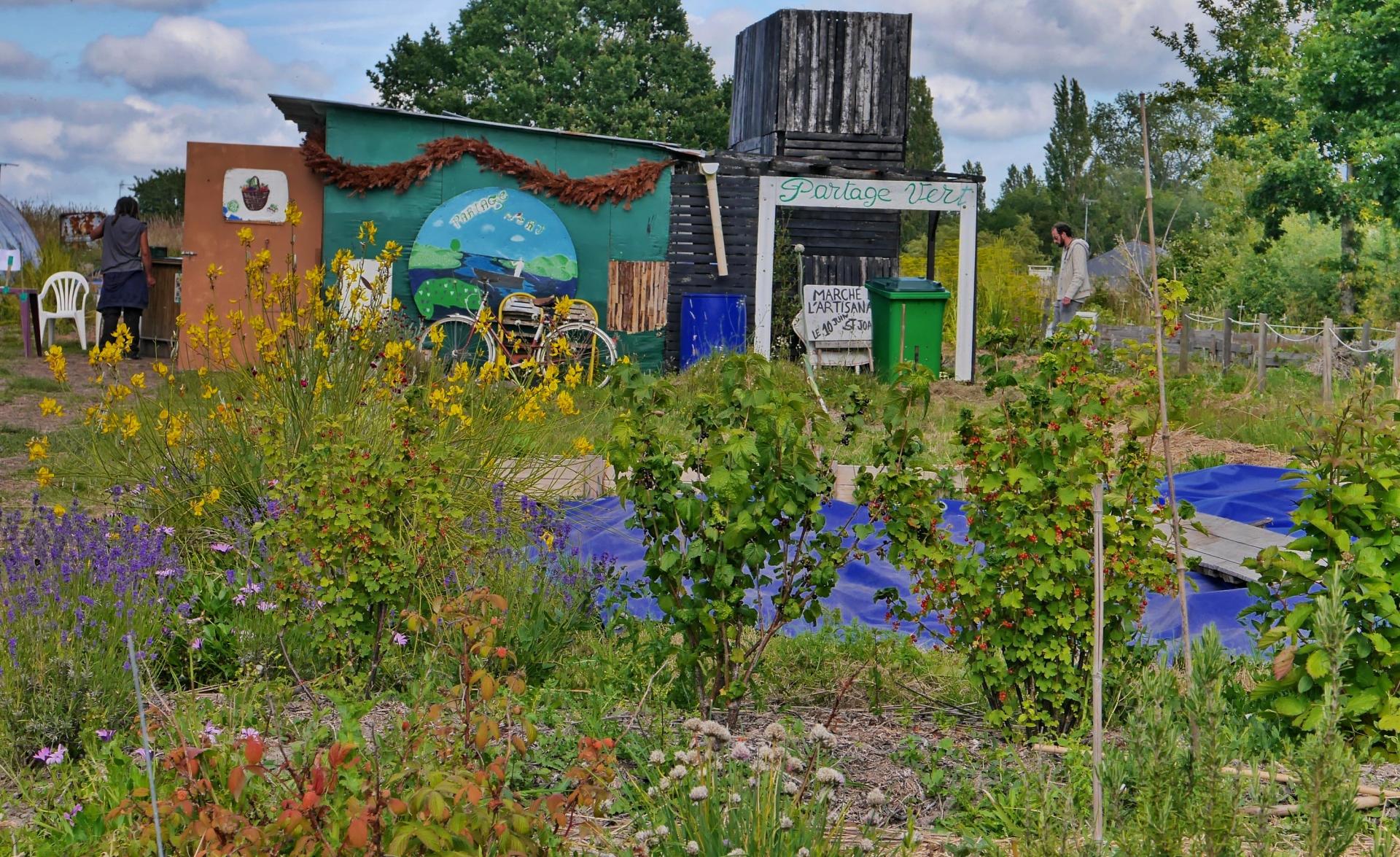 partage vert 2019115.JPGmod.JPG1