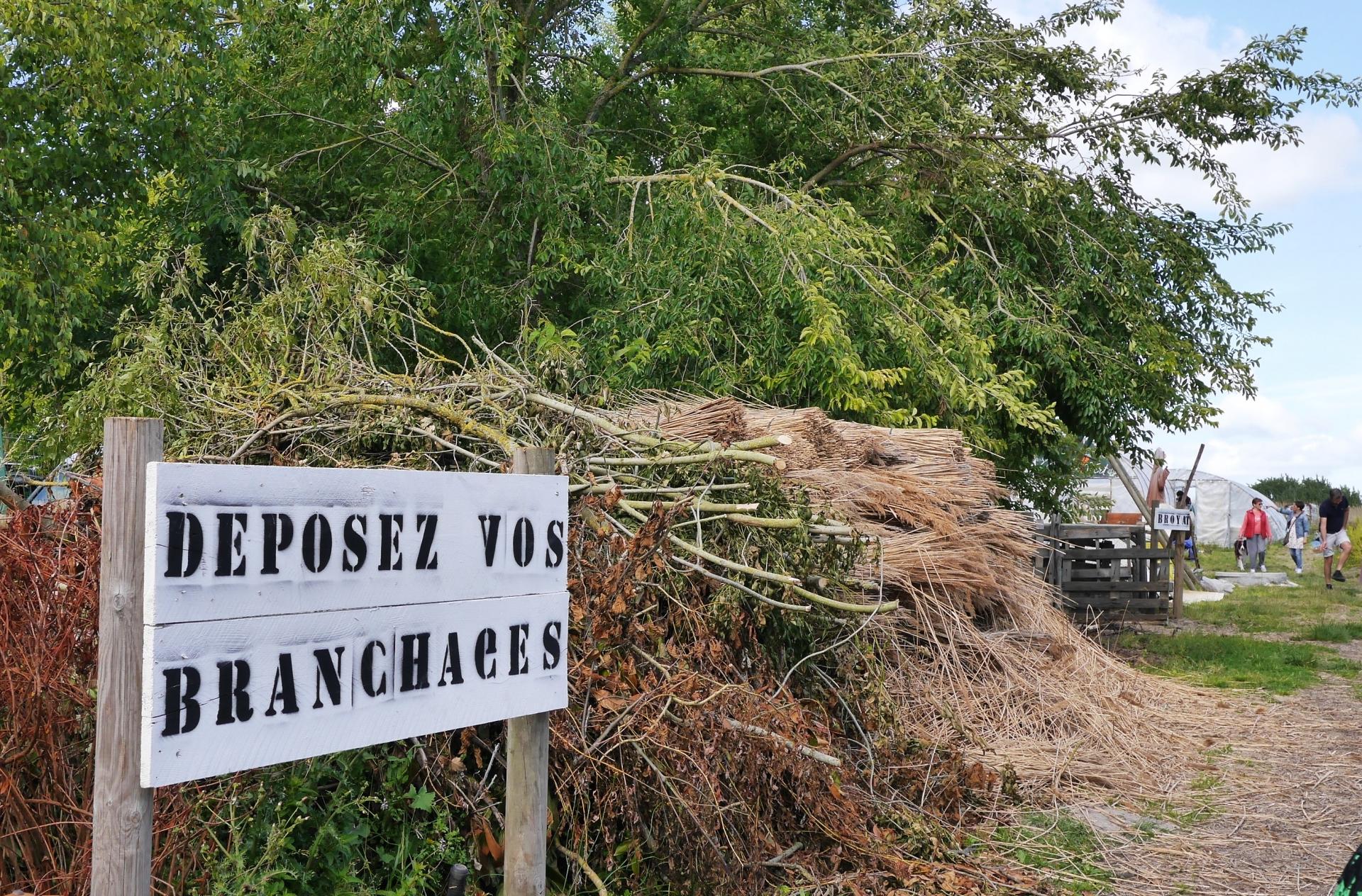 partage vert 2019117.JPGmod