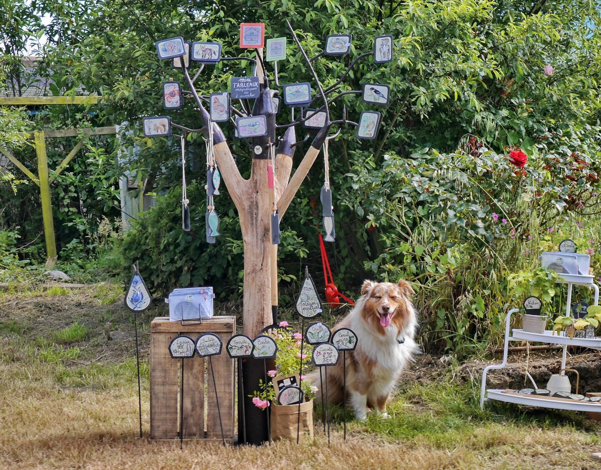 partage vert 2019121.JPGmod.JPG1