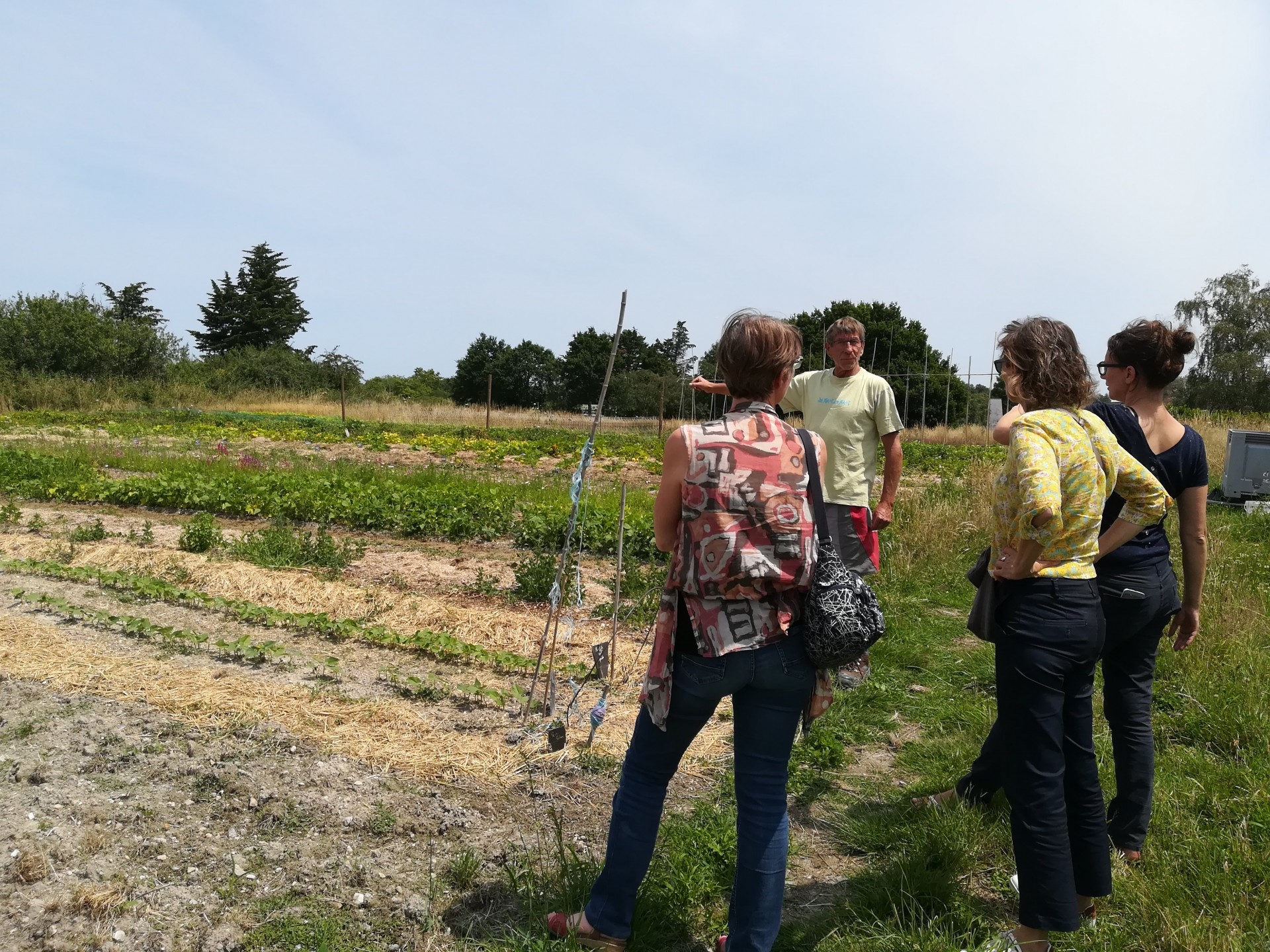 Visite en juin de la carene 4 